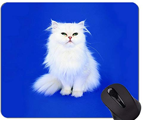 Gaming Mouse Pad Custom, Grüne Augen Perserkatze Tierkatze Weiß Home Office Computer Zubehör Mousepads