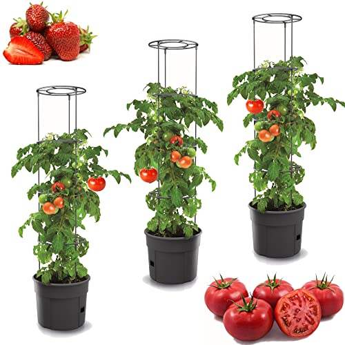 botle 3 macetas para tomates, juego de 3 macetas de 12 L, cultivador de tomates, maceta, maceta, verduras, tomates