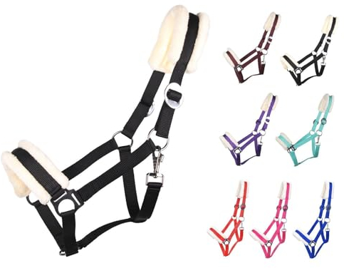 NETPROSHOP Solides Pferdehalfter gepolstert und verstellbar Gr. Mini Shetty bis Full u Kaltblut, Groesse:Mini Shetty, Farbe:Schwarz