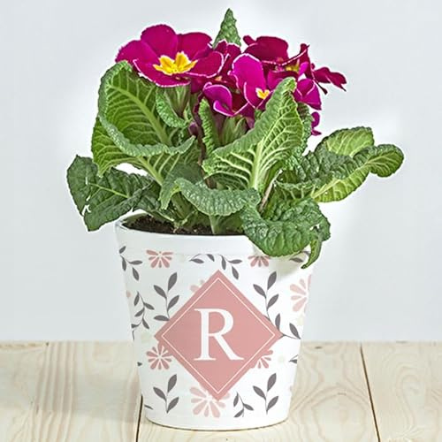 Wanapix | Pot de Fleurs Personnalisé Maman | Cadeau Fete des Meres | Cadeau Anniversaire Femme | Pot Plante Intérieur | Céramique | Flowery