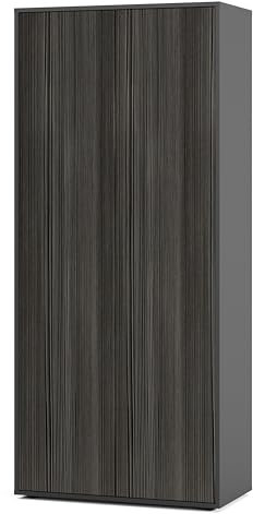 SIMPLYFURN Büroschrank Amira T00, geschlossener Schrank mit 2 großen Türen, Anthrazit & Avola Anthrazit, Push-to-Open, 180x80x40 cm, Aktenschrank für Büro und Homeoffice