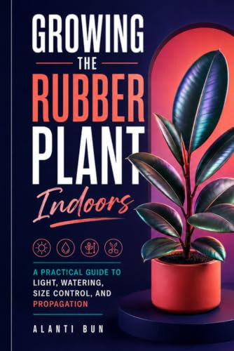 Growing the Rubber Plant Indoors: A Practical Guide to Light, Watering, Size Control, and Propagation