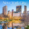 New York City 2024 Mini 7x7