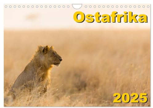 Ostafrika (Wandkalender 2025 DIN A4 quer), CALVENDO Monatskalender: Landschaften und Tiere aus Kenia und Tansania (CALVENDO Natur)