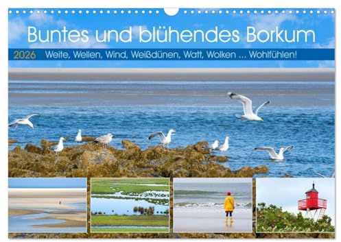 Buntes und blühendes Borkum (Wandkalender 2026 DIN A3 quer), CALVENDO Monatskalender: Weite, Wellen, Wind, Weißdünen, Watt, Wolken ... Wohlfühlen! (CALVENDO Orte)