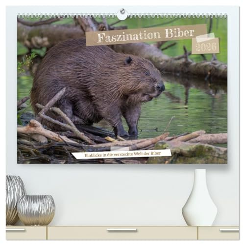 Faszination Biber (hochwertiger Premium Wandkalender 2026 DIN A2 quer), Kunstdruck in Hochglanz: Entdecken Sie die spannende Welt der Biber. (CALVENDO Tiere)