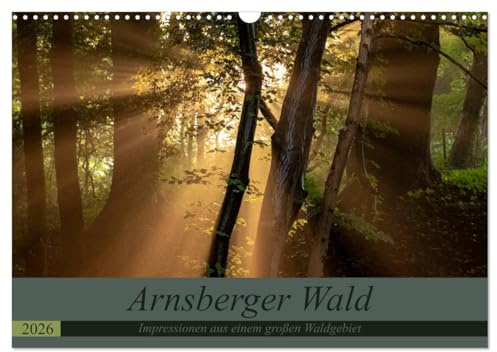 Arnsberger Wald (Wandkalender 2026 DIN A3 quer), CALVENDO Monatskalender: Impressionen aus einem großen Waldgebiet (CALVENDO Natur)