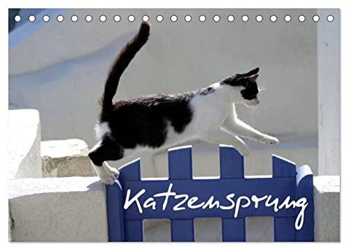 Katzensprung (Tischkalender 2026 DIN A5 quer), CALVENDO Monatskalender: Foto-Katzen-Kalender zum Träumen (CALVENDO Tiere)