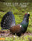 Tiere der Alpen - Kalender 2026: Animali delle Alpi – Alpine animals