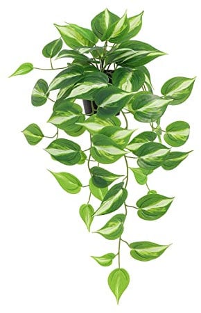 LuckyGreenery Pothos artificiel du diable doré - Plante en pot à suspendre pour mur, maison, terrasse, décoration intérieure ou extérieure (H 66 cm)