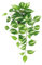 LuckyGreenery Pianta artificiale di edera del diavolo dorato Pothos, piante da appendere in vaso da parete, casa, patio, decorazione per interni ed esterni (altezza 66 cm)