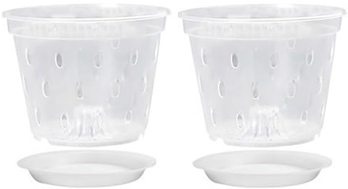 Tuelaly Macetas de plástico transparente para orquídeas, 2 unidades, con agujeros laterales, bandejas de diseño, 12,5 cm