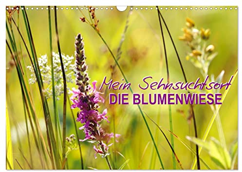 Mein Sehnsuchtsort, die Blumenwiese (Wandkalender 2026 DIN A3 quer), CALVENDO Monatskalender: Zauberhafte Naturfotografie (CALVENDO Natur)