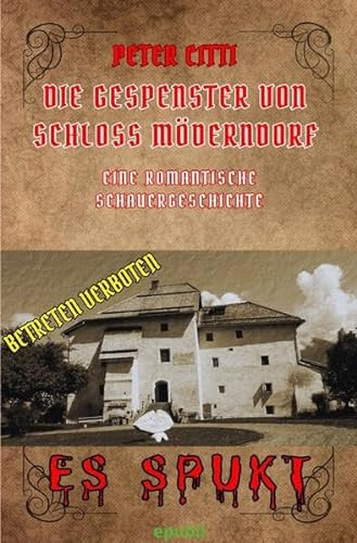 Die Gespenster von Schloss Möderndorf: Eine romantische Schauergeschichte