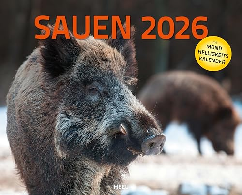 Sauen Kalender 2026 Jagd-Kalender im XXL-Format: Mit Mondhelligkeitskalender. Jäger-Kalender Wildschweine