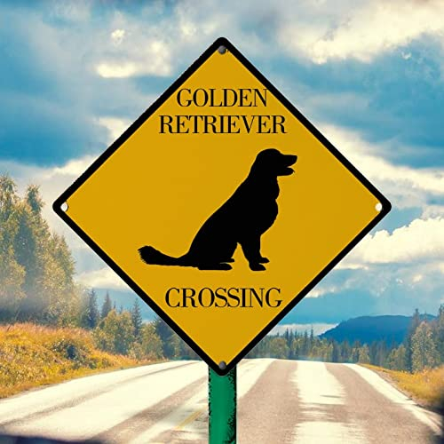 Caution Golden Retriever Dog Metallschild Wandkunst Lustig Golden Retriever Xing Vintage Metall Blechschilder Vorsicht Warnschild Golden Retriever Crossing Aluminium Kunst Schilder 25,4 x 25,4 cm