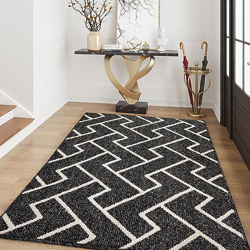 Biscpro Schmutzfangmatte 120 x180 cm, Rutschfestigkeit Fußmatte,Eingangstürmatte Türmatte für Hund,Außen Innen Garten,Teppich,Terrazzo,Haustür,Terrazzo