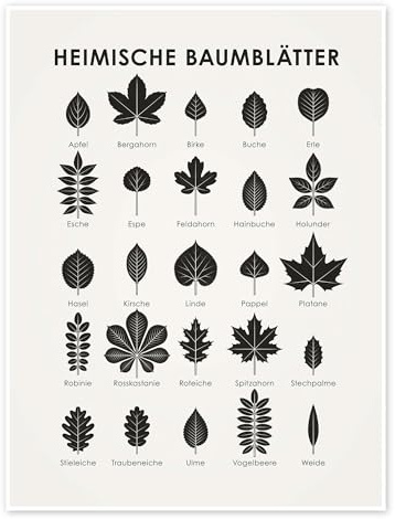 Feuilles d'arbres locales (allemand) Poster de Iris Luckhaus 60 x 80 cm Noir et blanc Tableaux Décoration murale