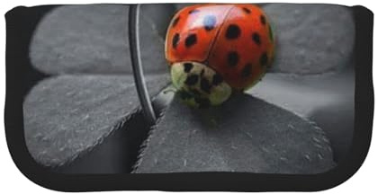 Hgbbdyyjj Ladybug extra großes Federmäppchen aus Segeltuch – Doppelreißverschluss, Make-up- und Schreibwaren-Organizer-Tasche, Schwarz , Einheitsgröße, Taschen-Organizer