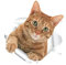 Removable Cat Toilet Seat Wall Sticker Art PVC Bathroom Decorations Decals Cute Cat Stickers Home Decor Nursery Toilet Lid Decor