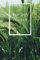 Wochenplaner 2020: Kalender mit modernem Natur Motiv - Natureart - Studienplaner - Terminplaner - Bullet journal Studentenkalender - ... und selbstgestalten - A5 Format