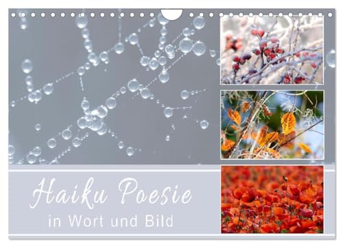 Haiku Poesie in Wort und Bild (Wandkalender 2026 DIN A4 quer), CALVENDO Monatskalender: Sinnige und hintersinnige Momentaufnahmen (CALVENDO Natur)