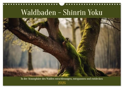 Waldbaden - Shinrin Yoku (Wandkalender 2026 DIN A3 quer), CALVENDO Monatskalender: In der Atmosphäre des Waldes entschleunigen, entspannen und entdecken (CALVENDO Gesundheit)