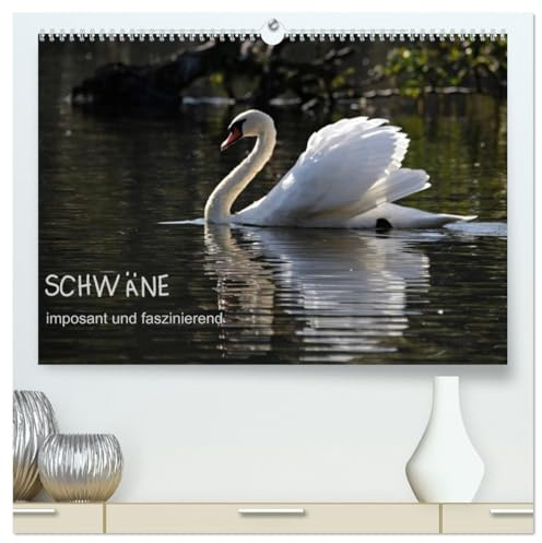 Schwäne - imposant und faszinierend (hochwertiger Premium Wandkalender 2026 DIN A2 quer), Kunstdruck in Hochglanz: Schwäne sind imposante Entenvögel ... dem Wasser sowie in der Luft (CALVENDO Natur)