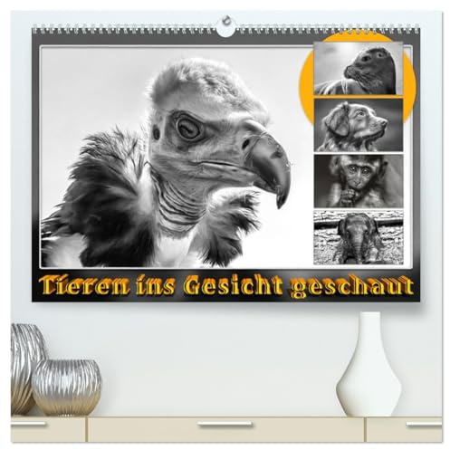 Tieren ins Gesicht geschaut (hochwertiger Premium Wandkalender 2026 DIN A2 quer), Kunstdruck in Hochglanz: Eindrucksvolle Tierporträts, umgesetzt als ... auf das Wesentliche. (CALVENDO Tiere)