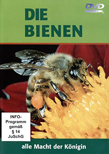 Die Bienen - Alle Macht der Königin