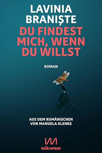 Du findest mich, wenn du willst: Roman