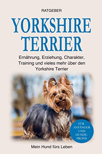 Yorkshire Terrier: Erziehung, Ernährung, Charakter, Training und einiges mehr über den Yorkshire Terrier