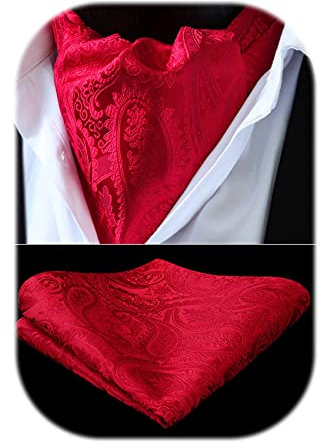 HISDERN Krawattenschal Hellrot Herren Paisley Hochzeit Ascot Krawatte Taschentuch Business Blumen Halstuch und Einstecktuch Set