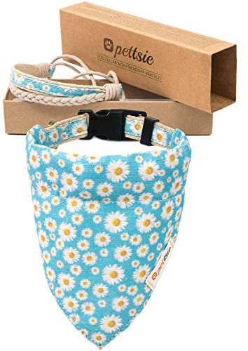 Pettsie Hundehalsband mit Bandana Tuch und Freundschaftsarmband, einstellbare Größen S und M, stark und langlebig, tolles Geschenk für Hundeliebhaber in attraktiven Verpackung, S, Türkis