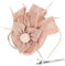 Alaoo Fascinator Hüte für Damen, Damen Fascinators Hut, Pillbox Hut mit Schleier Stirnband für Hochzeit Tea Party Mesh Blume Cocktail Party (Farbe: 04-Champagnerfarbe)