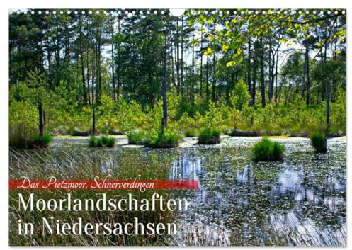 Niedersachsens Moorlandschaften - Das Pietzmoor, Schneverdingen (Wandkalender 2026 DIN A3 quer), CALVENDO Monatskalender: Erleben Sie die ... Pietzmoor, Schneverdingen. (CALVENDO Natur)