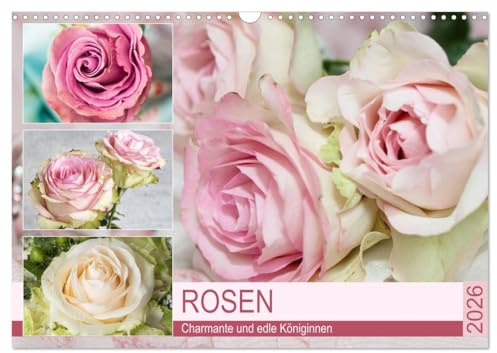 Rosen. Charmante und edle Königinnen (Wandkalender 2026 DIN A3 quer), CALVENDO Monatskalender: Elegante und zauberhafte Rosen für Romantiker (CALVENDO Natur)