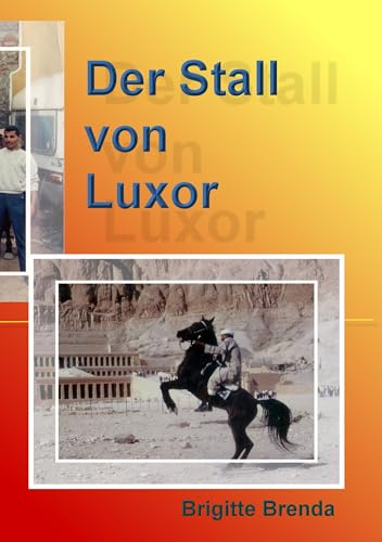 Der Stall von Luxor: Eine Mutter eröffnet Reitstall in Ägypten