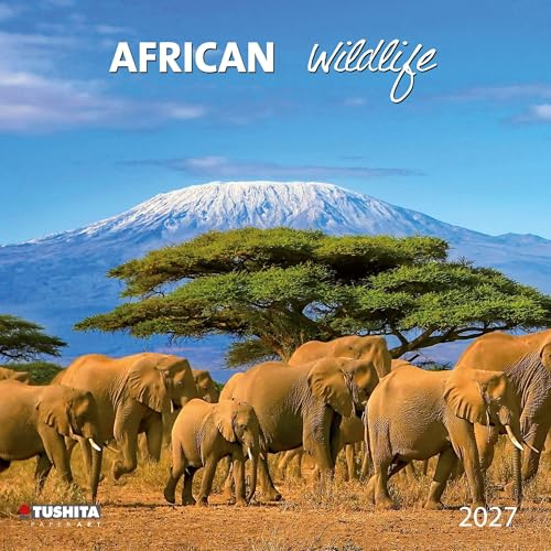 African Wildlife 2027: Kalender 2027 (Wonderful World)