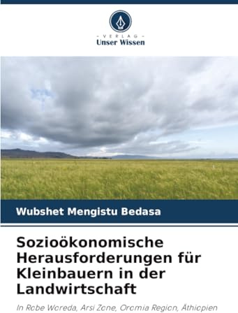Sozioökonomische Herausforderungen für Kleinbauern in der Landwirtschaft: In Robe Woreda, Arsi Zone, Oromia Region, Äthiopien