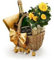 Luxury Champagne, Chocolates with Fresh Rose Plant Hamper Gift Set