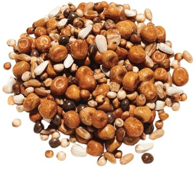 Countrywide Breed and Wean Pigeon Seed Mix 20kg - Premium Food For Young Pigeons - High Energy - Dust Free Quality Ingredients