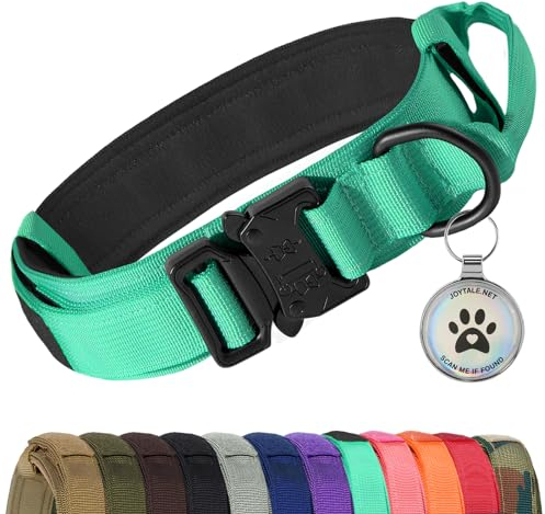 Joytale Taktisches Hundehalsband mit Griff Halsband Hund 3.8 cm Breit Hundehalsband für Große Hunde Verstellbar aus Nylon, Türkis, L