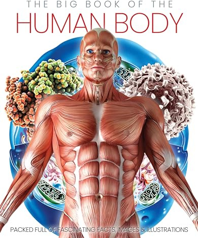 The Big Book Of The Human Body