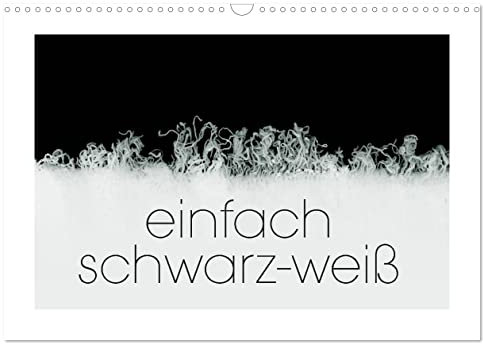 einfach schwarz-weiß (Wandkalender 2025 DIN A3 quer), CALVENDO Monatskalender