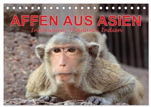 AFFEN AUS ASIEN Indonesien, Thailand, Indien (Tischkalender 2026 DIN A5 quer), CALVENDO Monatskalender: Erleben Sie die faszinierende Welt der ... Affenwald von Ubud auf Bali. (CALVENDO Tiere)