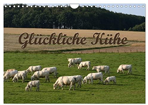 Glückliche Kühe (Wandkalender 2026 DIN A4 quer), CALVENDO Monatskalender: Der Kuh-Terminplaner (CALVENDO Tiere)