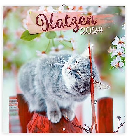 Trötsch Broschürenkalender Katzen 2024: Wandplaner