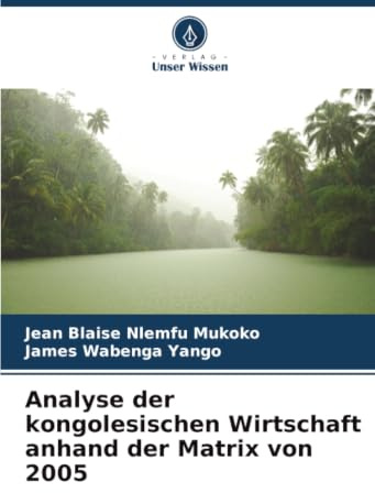 Analyse der kongolesischen Wirtschaft anhand der Matrix von 2005
