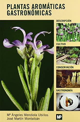 Plantas aromáticas gastronómicas (Botánica)